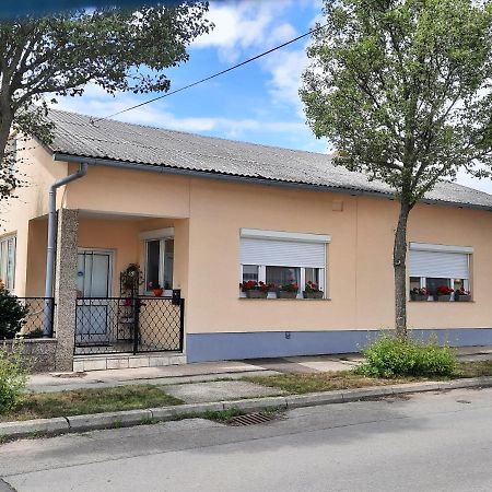 Ferienhaus Lina Neusiedl am See Bagian luar foto