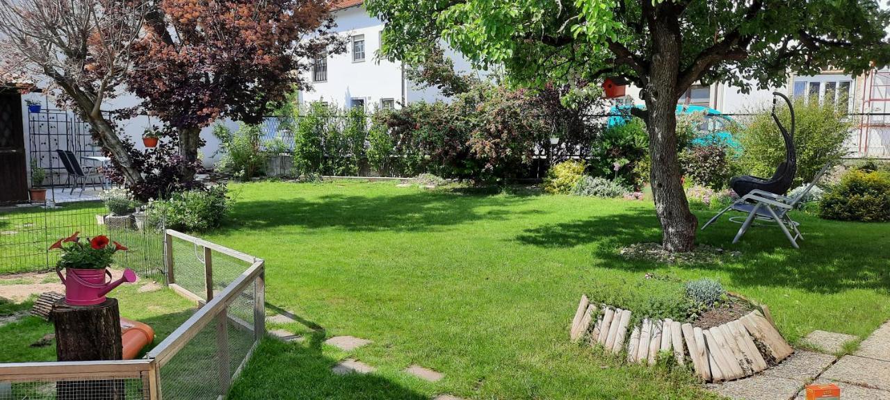 Ferienhaus Lina Neusiedl am See Bagian luar foto